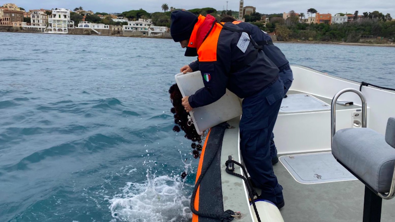 Roma, blitz notturno a Santa Marinella: sequestrati 80 kg ricci di mare