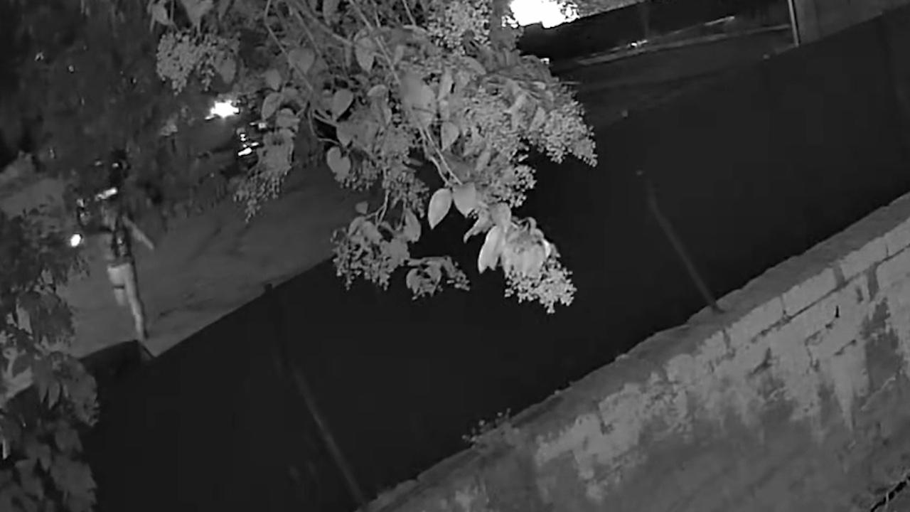 Vigilante arrestato per omicidio, il video degli spari. Gip: "Vera caccia all'uomo"