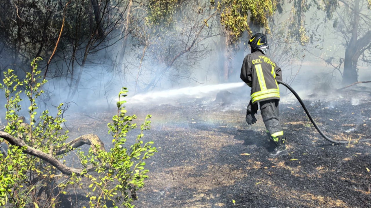 Incendio di sterpaglie a Civitavecchia, vento spinge le fiamme anche nel cimitero