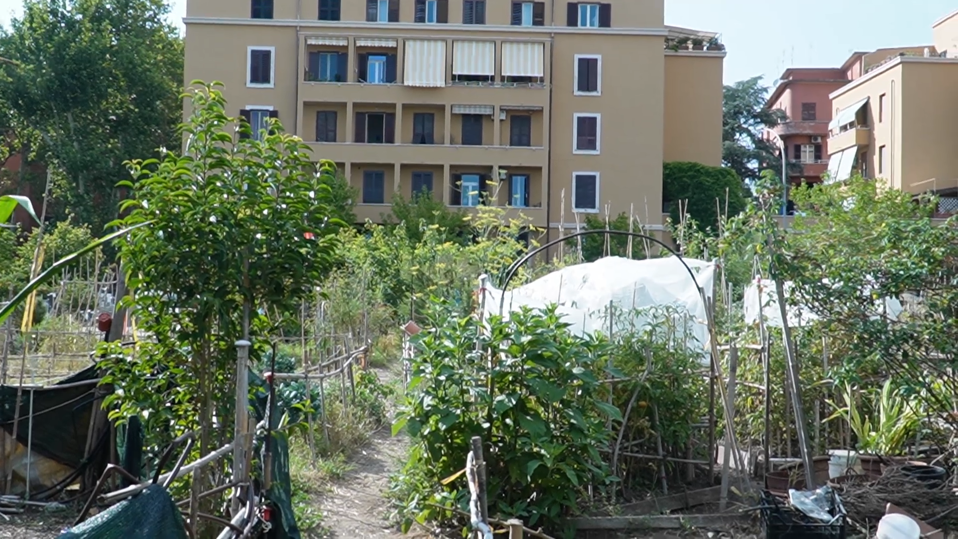Orti urbani Garbatella