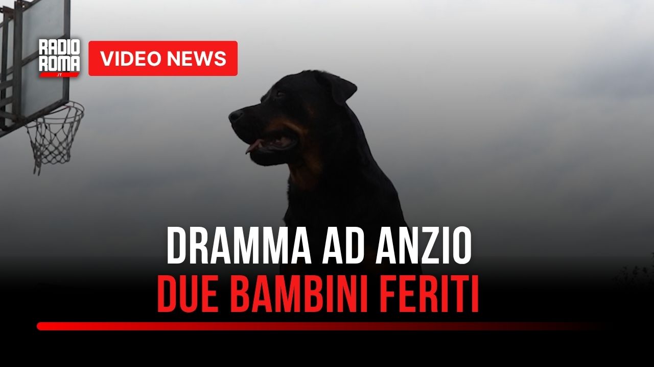 Bimbi aggrediti dal cane della nonna, choc ad Anzio