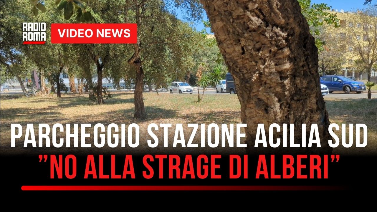 Acilia Sud-Dragona, alberi a rischio per nuovo parcheggio stazione: "No alla strage, ci sono alternative" (VIDEO)
