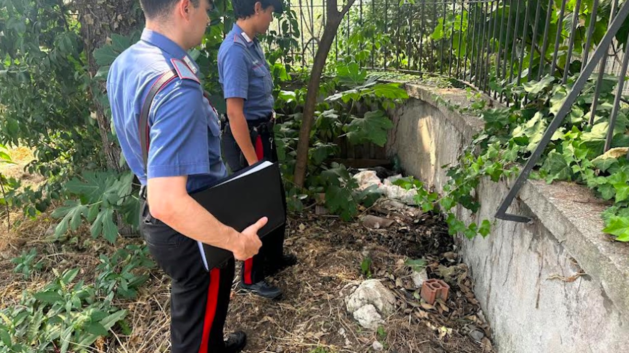 Appicca incendio in un giardino vicino alle case: 88enne arrestato alla Borghesiana