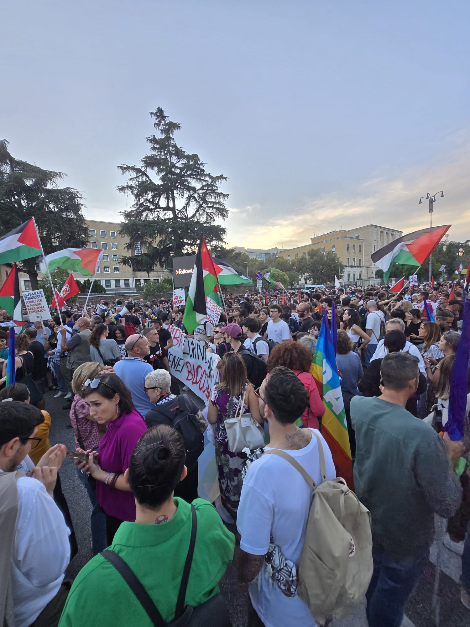 WhatsApp Image 2025-09-16 at 20.04.46