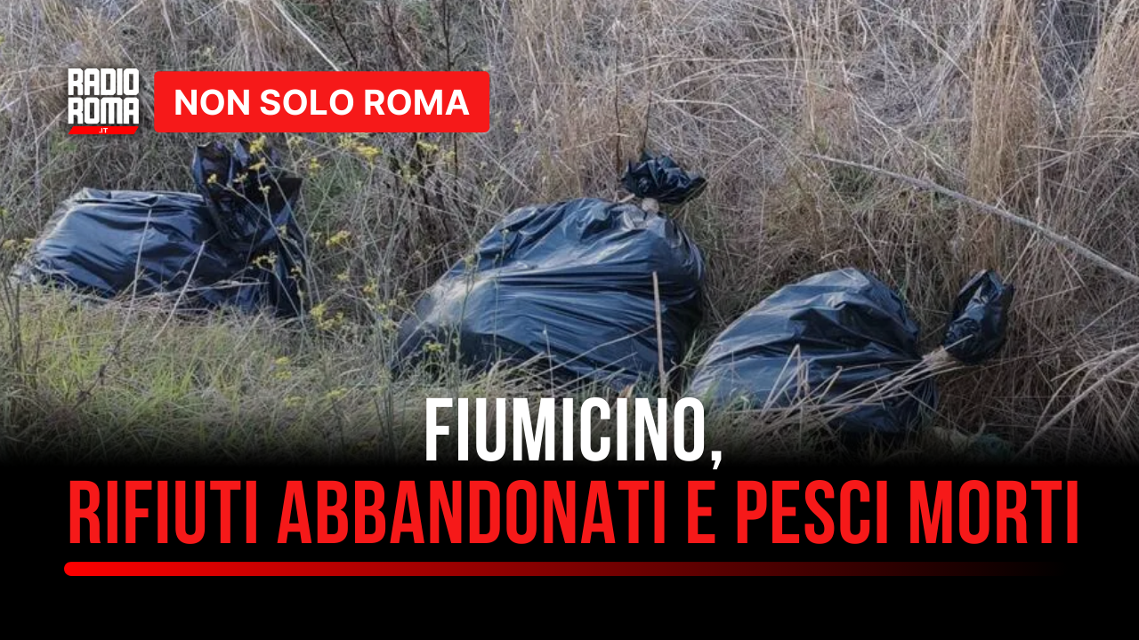 Fiumicino, “Rifiuti abbandonati e pesci morti”: la segnalazione di un residente - VIDEO