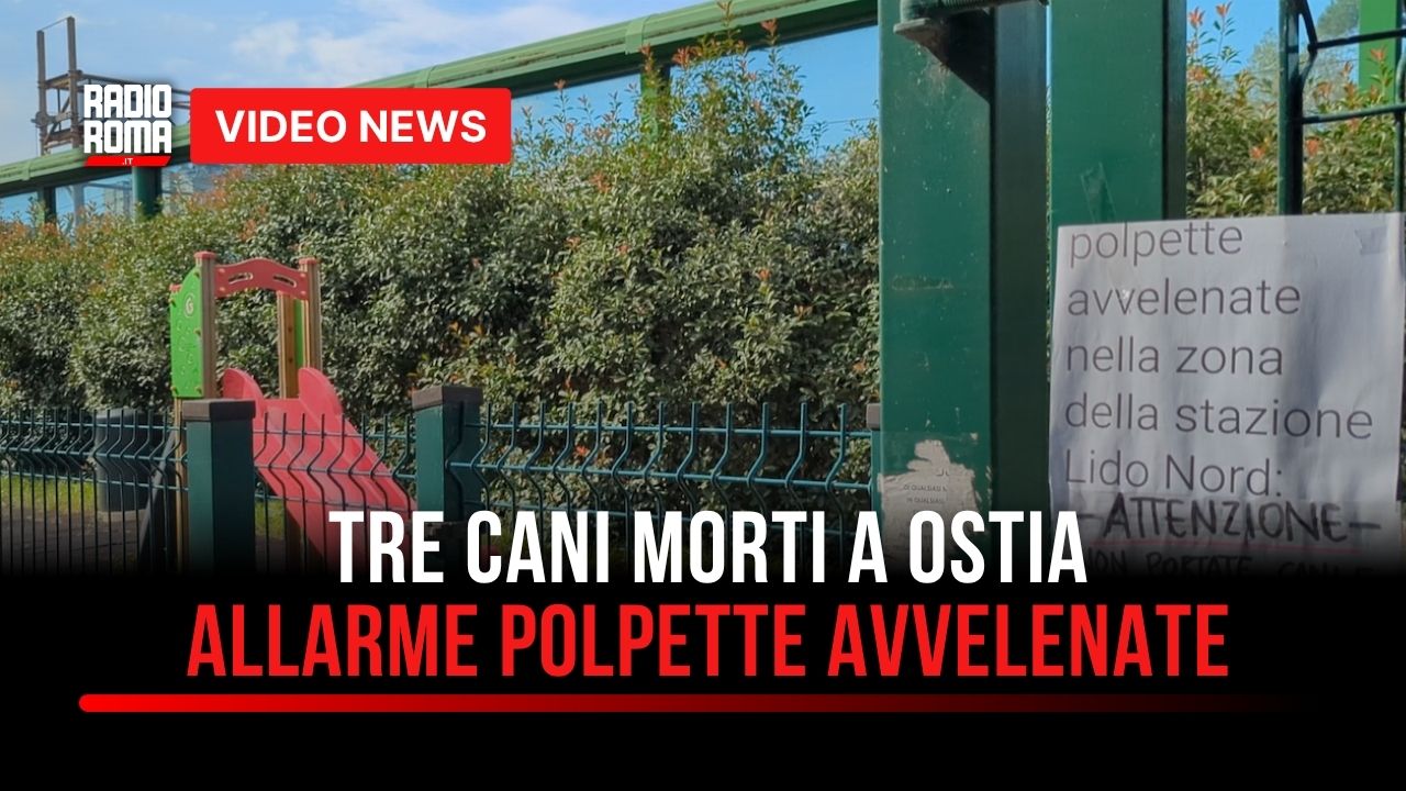 Tre cani morti in pochi giorni, a Ostia è allarme polpette avvelenate. Il racconto di Nunzia (VIDEO)