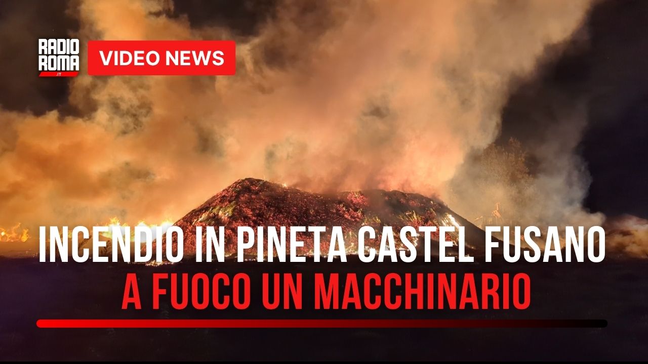 Incendio nella tenuta di Castel Fusano a Ostia: in fiamme la macchina trituratrice. Chigi: "La pineta si è salvata" (VIDEO)