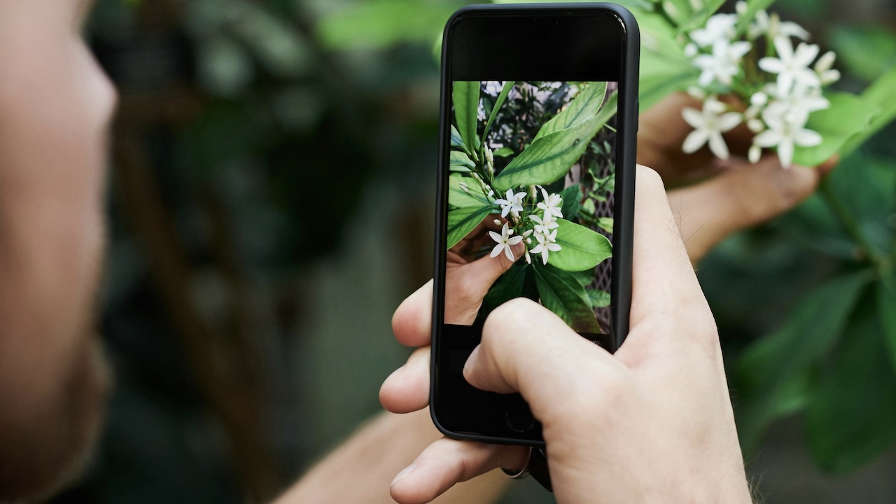 Castelporziano apre ai giovani filmmaker: bando per un film lab con smartphone nella Tenuta presidenziale