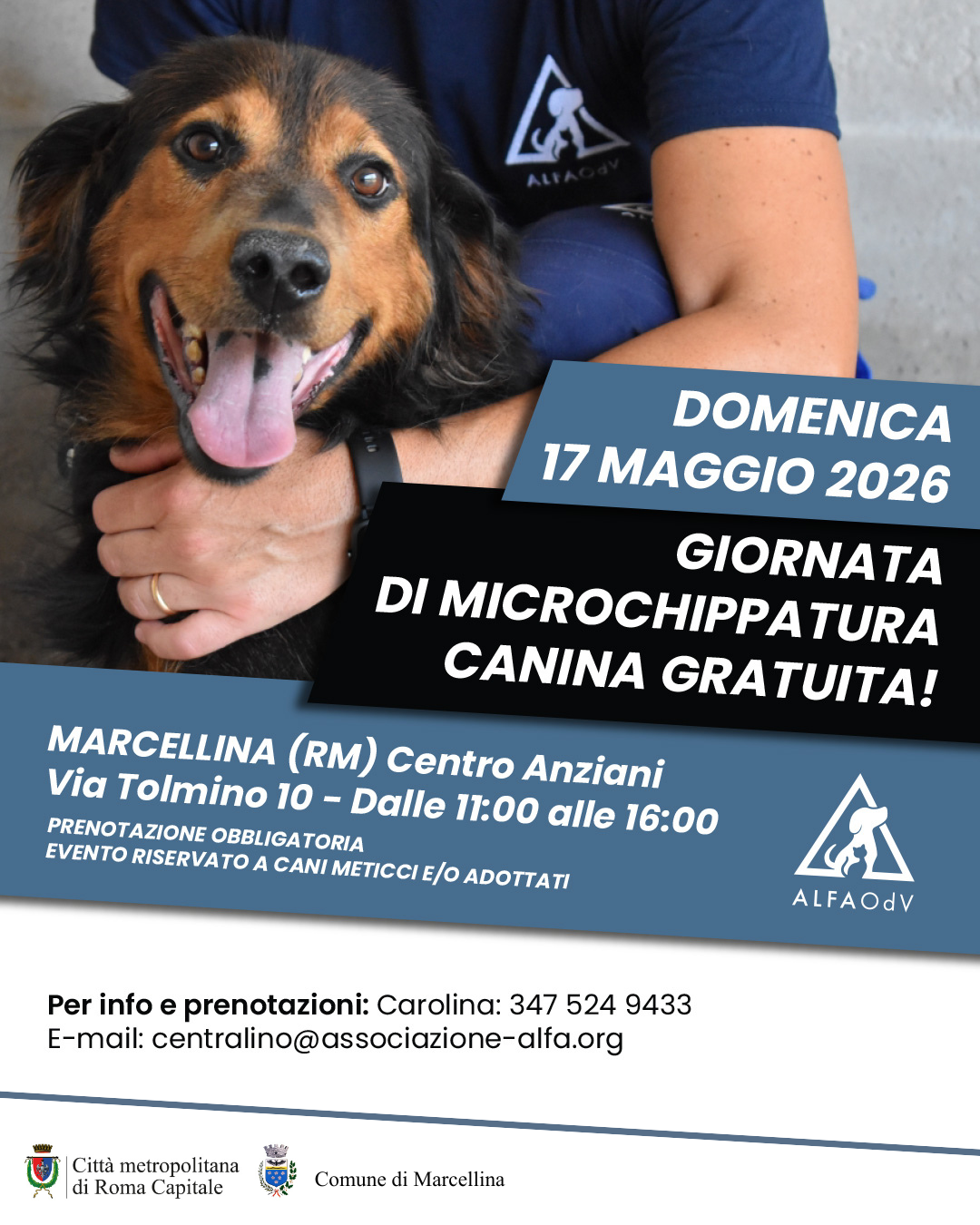 Marcellina per i cani: domenica 17 maggio microchip gratuiti