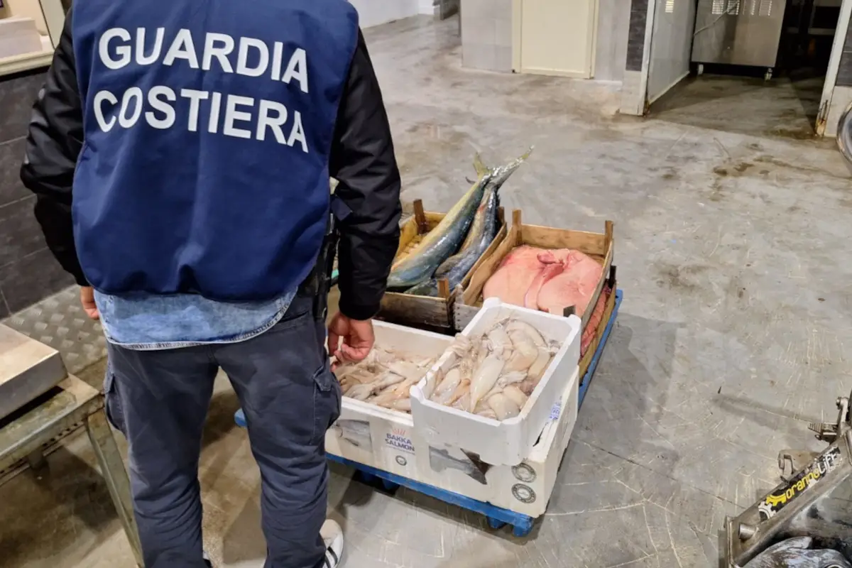 Guardia costiera di Roma Fiumicino: sequestrate  oltre 5 tonnellate di prodotti ittici