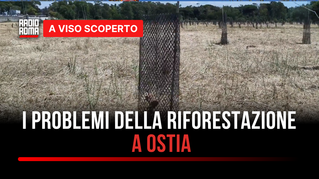 Ostia, riforestazione PNRR tra criticità e impegni: Castel Fusano e Acque Rosse sotto la lente (con Giovanni Caudo e Jacopa Stinchelli)