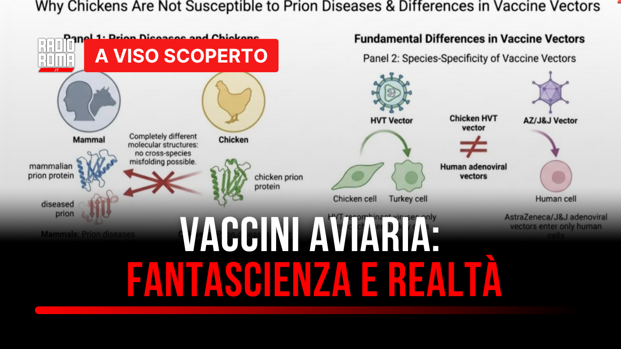 Vaccini influenza aviaria H5N1: allarmismi e realtà (Con Roberto Masselli)