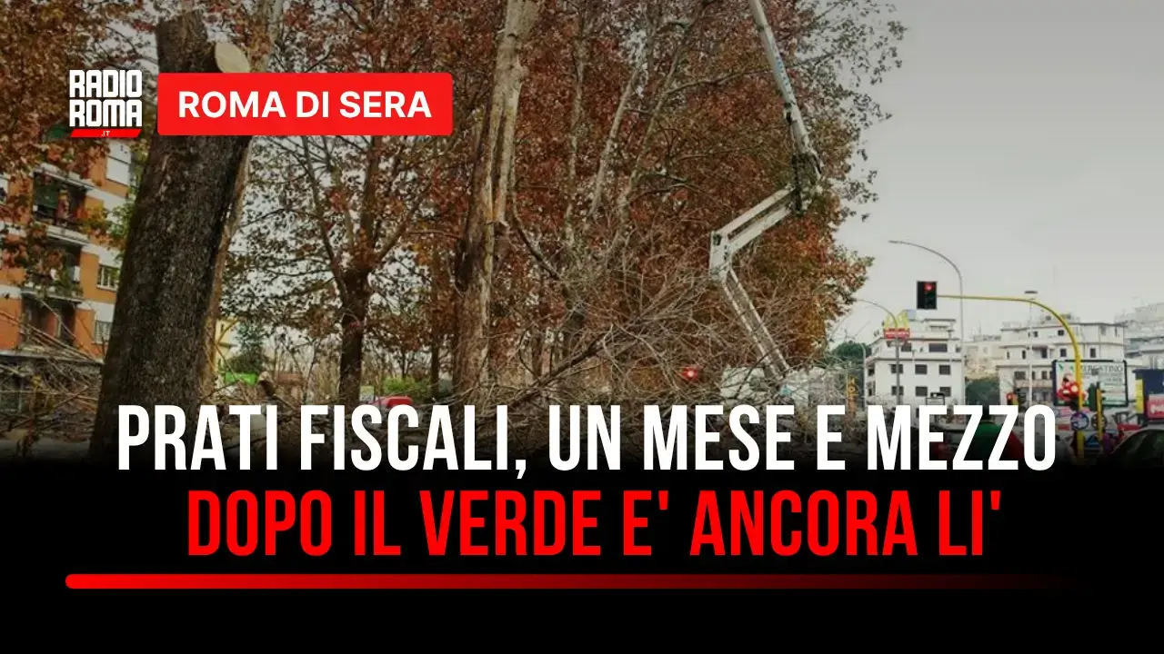 Terzo Municipio post tromba d’aria, Matteo Zocchi a Roma di Sera