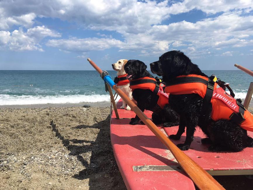 Ostia, domenica torna la "Giornata Dimostrativa  Sicurezza e Salvataggio in Mare"