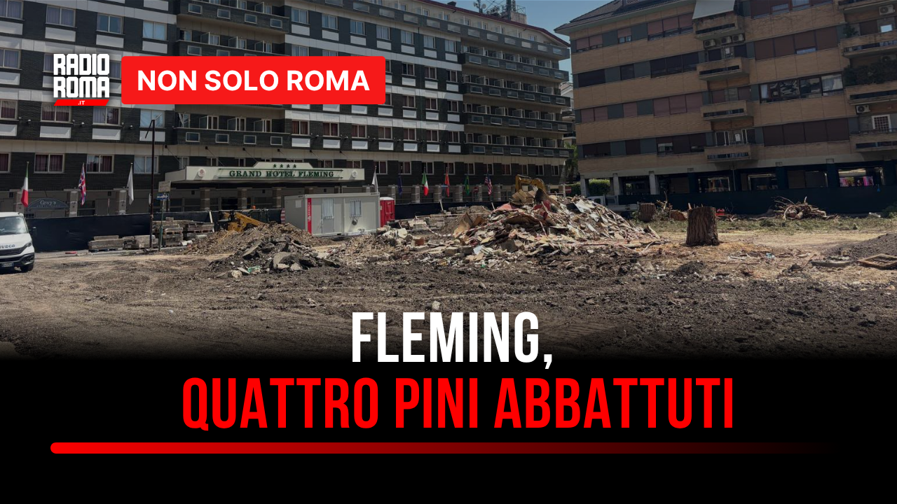 Fleming, abbattuti quattro pini in piazza Monteleone di Spoleto: "CURAA" annuncia esposto - VIDEO