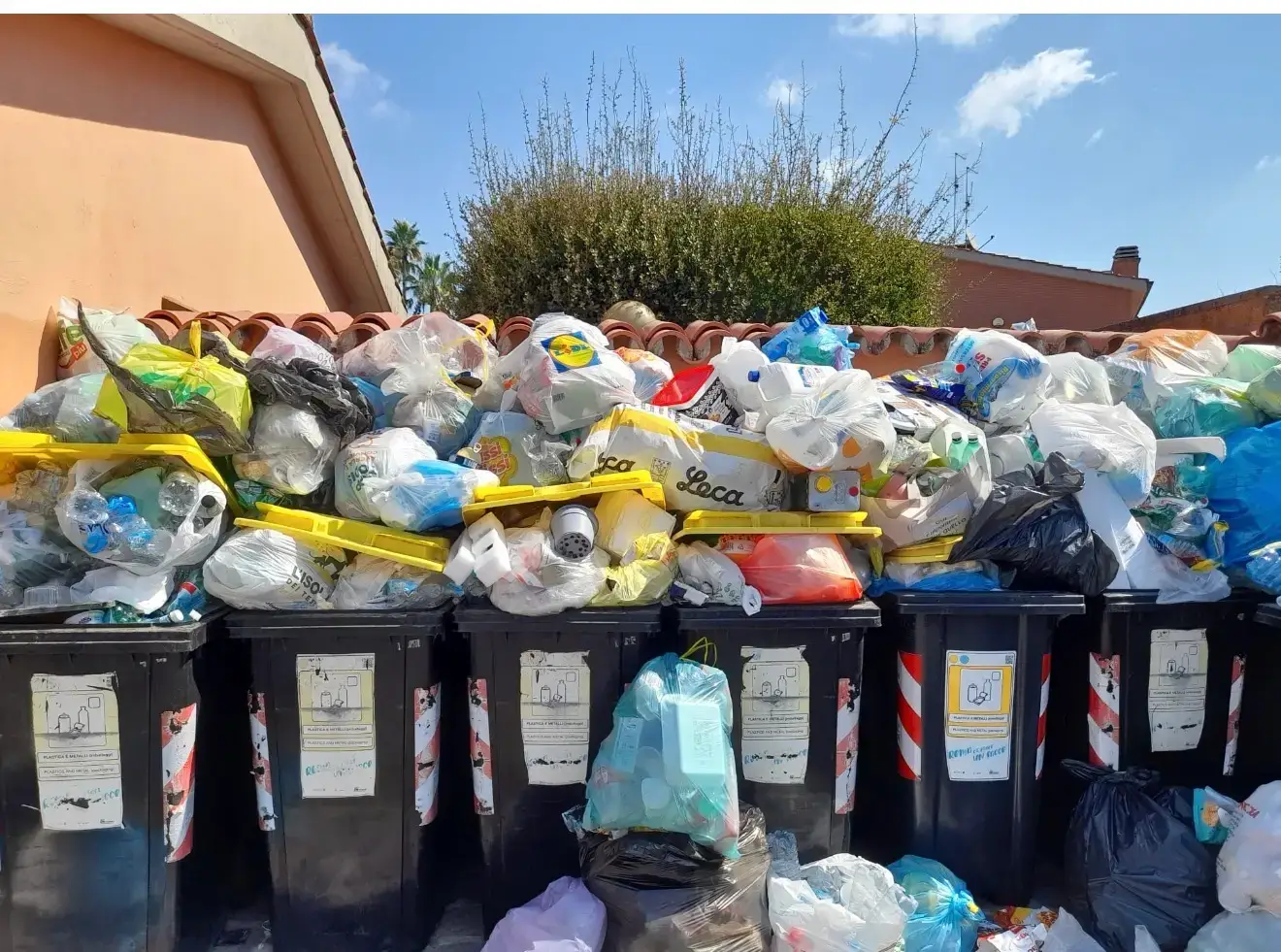 Municipio X, comitati e associazioni denunciano degrado e rifiuti: allarme per igiene e decoro