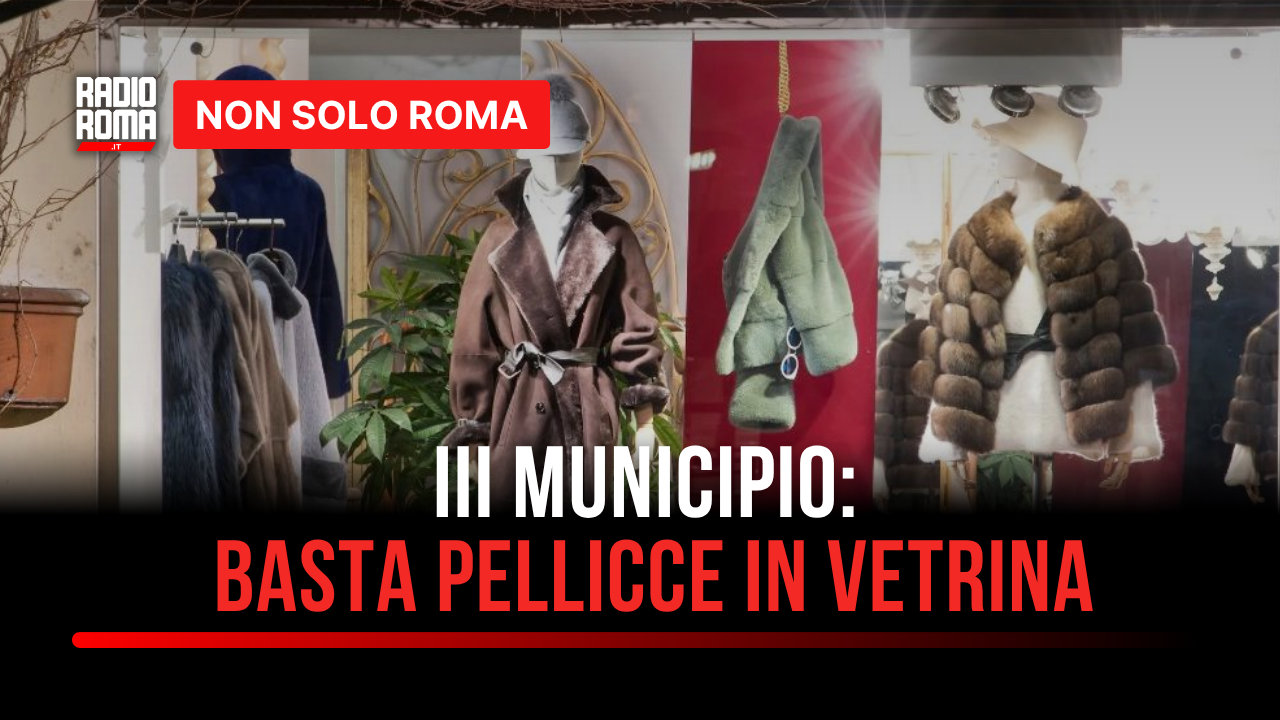 Il Municipio III di Roma vuole vietare le pellicce in vetrina: "I romani sono diventati più sensibili" - VIDEO