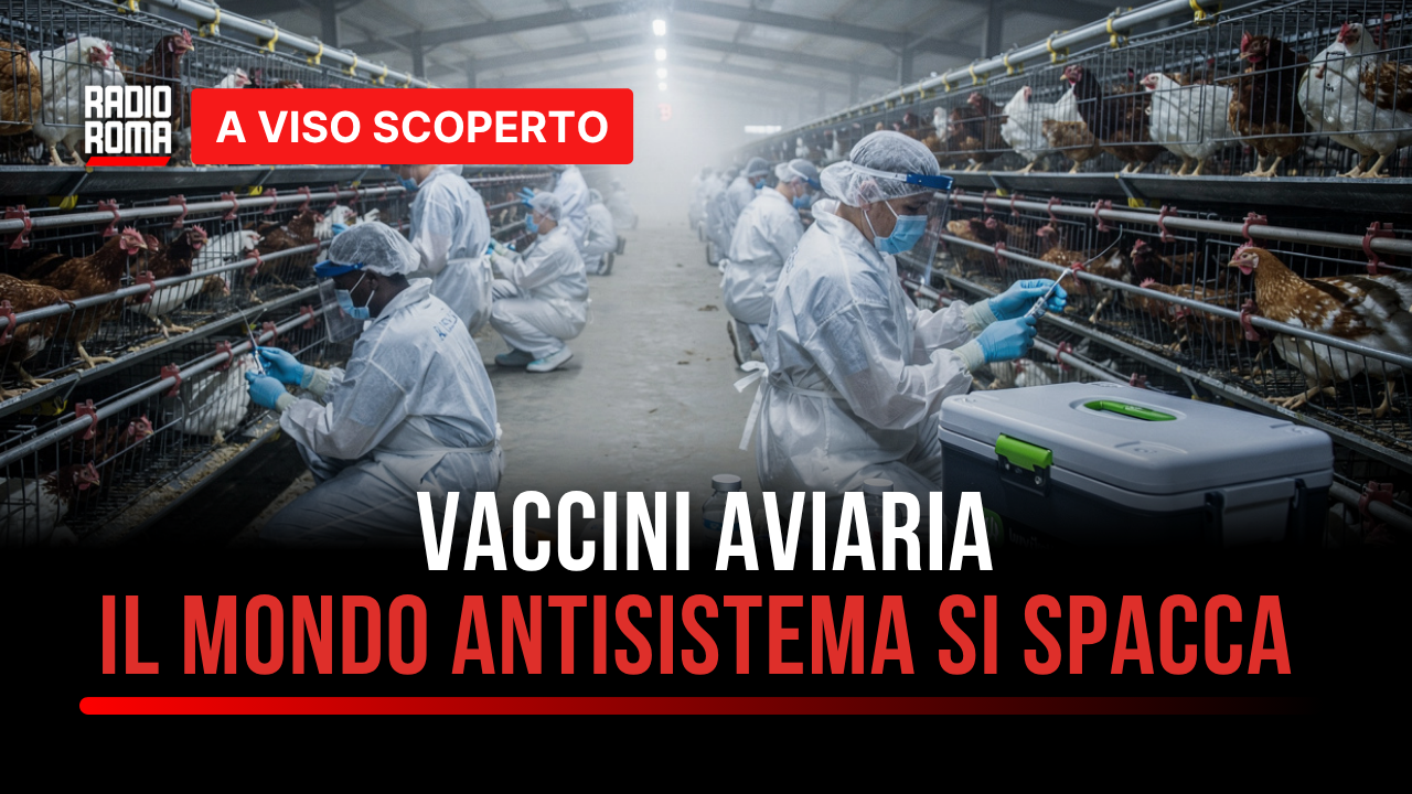 Vaccini Aviaria: il mondo antisistema si spacca (con Roberto Masselli e Manola Bozzelli)