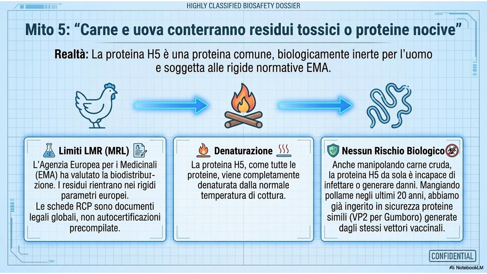 Vaccini aviaria nessun pericolo per carni e uova