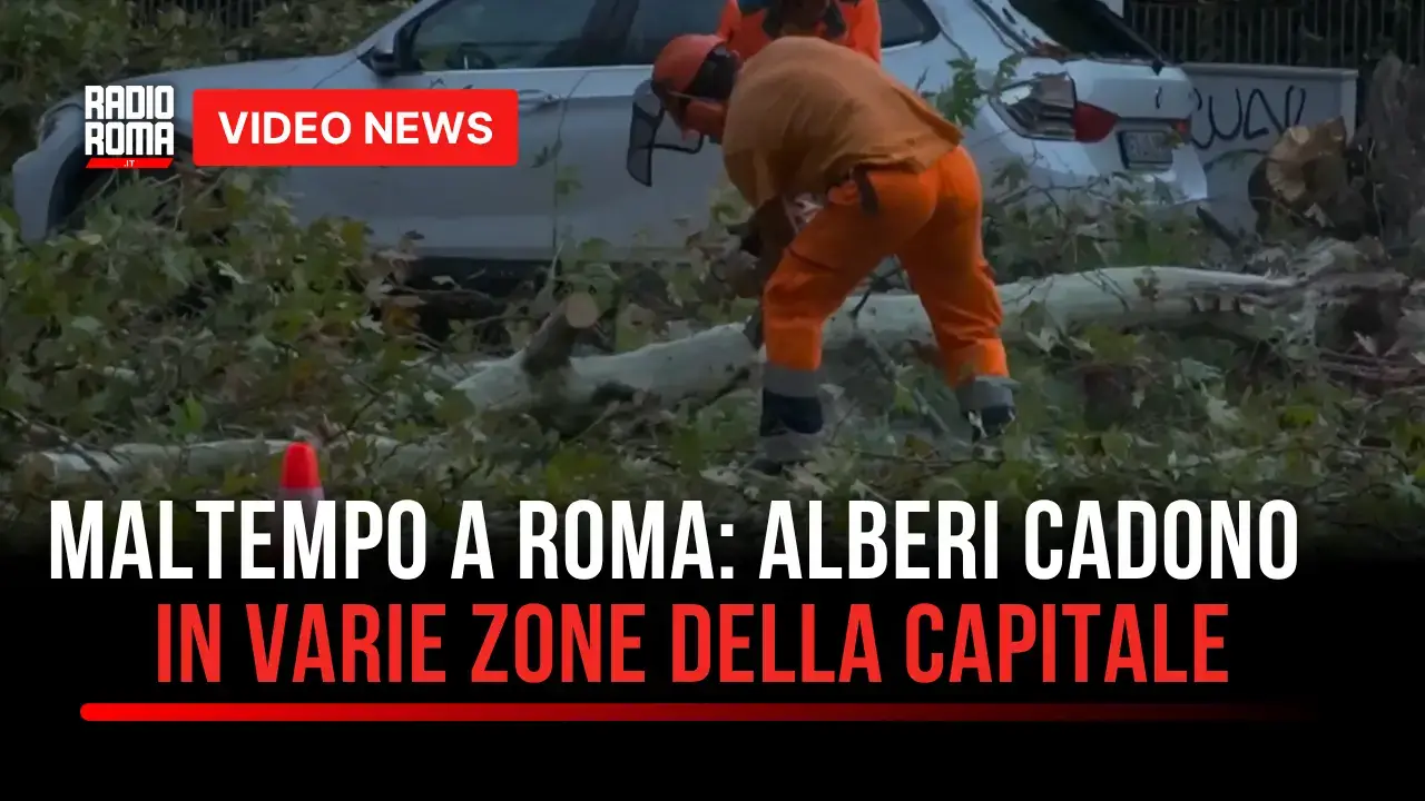 Bomba d’acqua su Roma: alberi caduti, strade allagate e polemiche sul verde
