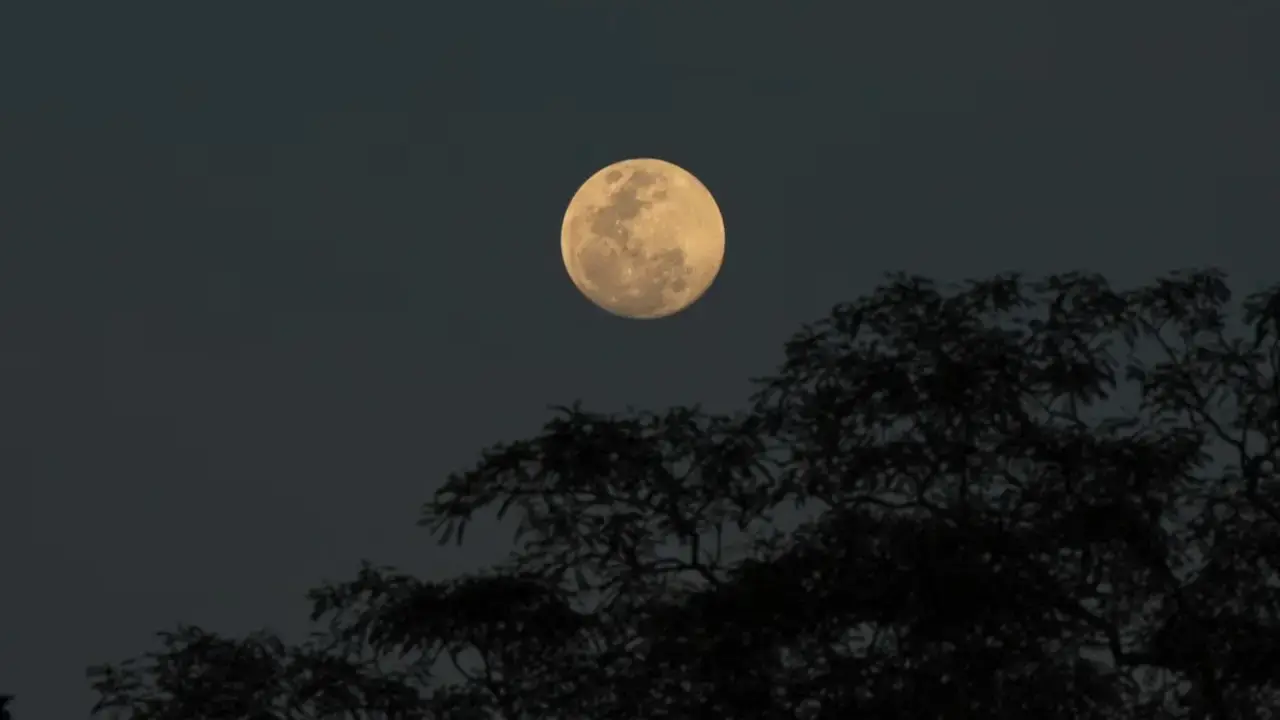 Notte della Luna 2026: telescopi a Fiumicino e visita alla Banditaccia