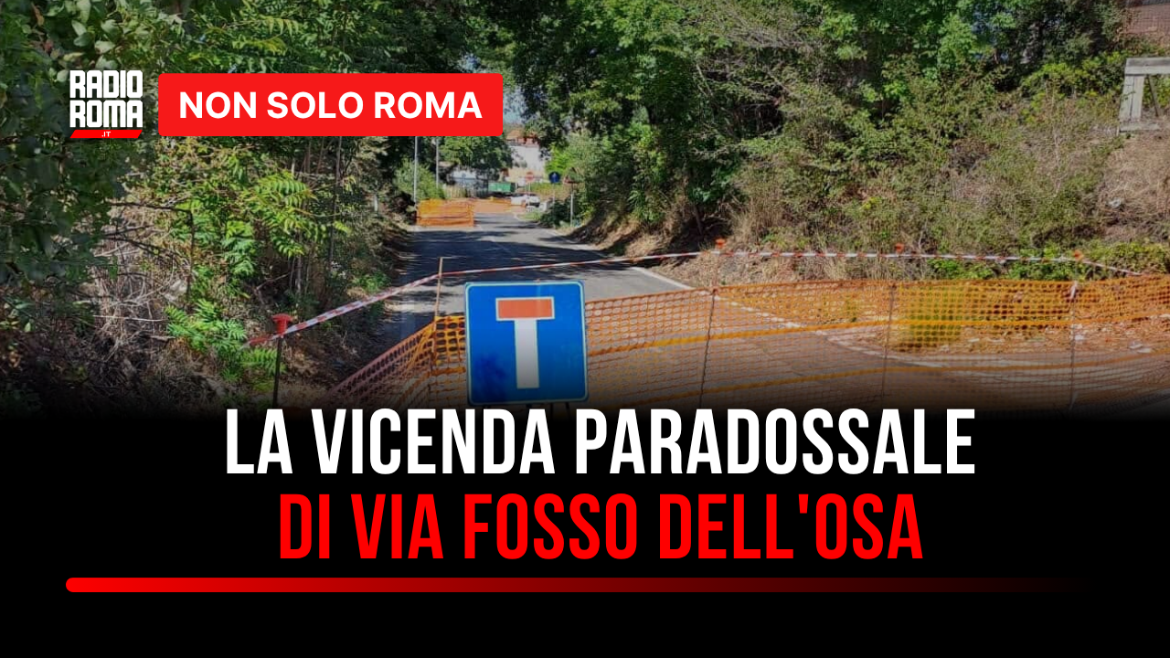 Le segnalazioni ignorate, il nubifragio e i crolli: la paradossale vicenda degli alberi in via Fosso dell’Osa - VIDEO