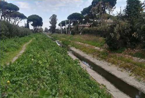 Canale Palocco, Cassa di espansione: via libera in Commissione lavori pubblici