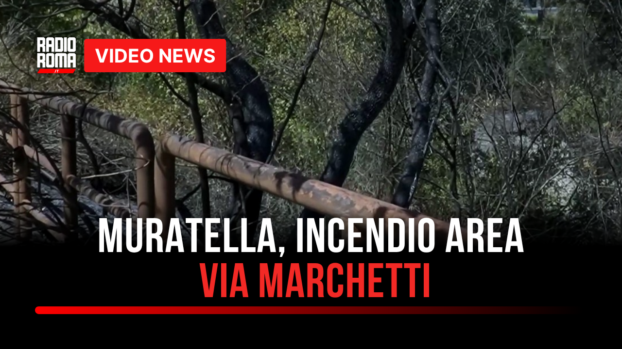 Fiamme e densa colonna di fumo alla Muratella: incendio a due passi dall'ex centro direzionale Alitalia