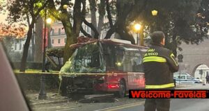 Roma, incidente a Villa Borghese: bus fuori servizio si schianta contro un albero