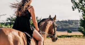 ippoterapia turismo equestre roma lazio