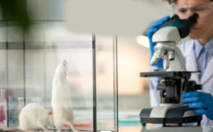 Nuovo Coronavirus artificiale Killer dalla Cina, morti il 100% dei topi 