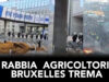 La rabbia degli agricoltori fa tremare Bruxelles