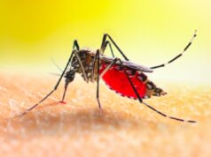 Dengue, al via da domani le vaccinazioni all'ospedale Spallanzani di Roma