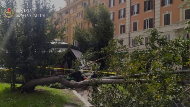 Roma, tragedia sfiorata a piazza Bologna: albero crolla su passaggio pedonale