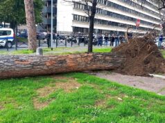 Roma, pino di 15 metri crolla sulle auto all'Eur: era stato verificato a maggio, alberi
