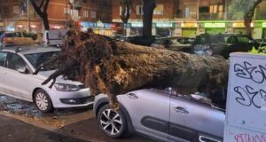 Roma, albero crolla su un'auto a Marconi: nessun ferito
