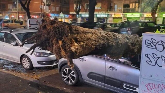 Roma, albero crolla su un'auto a Marconi: nessun ferito